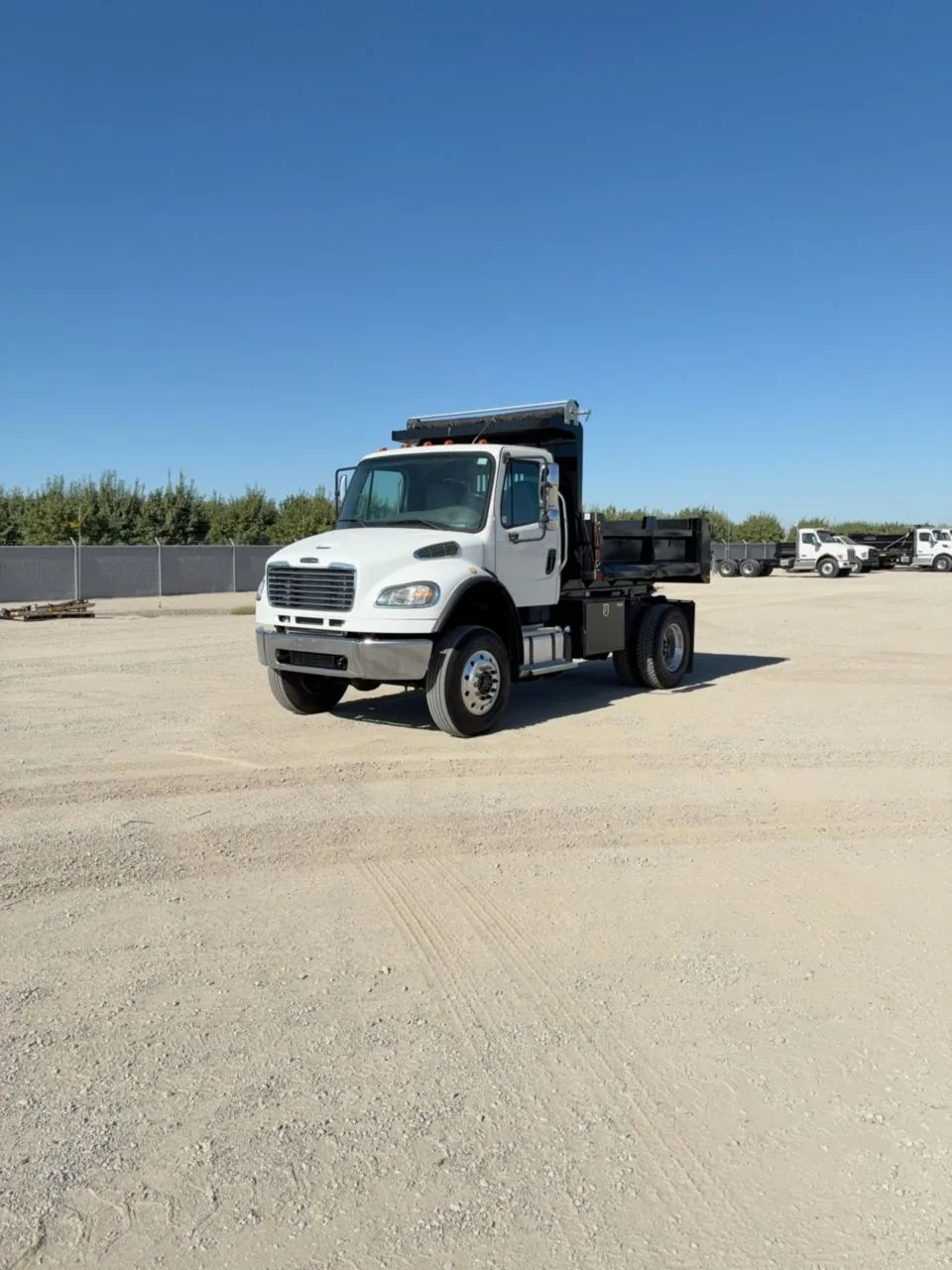 2019 Freightliner M2106