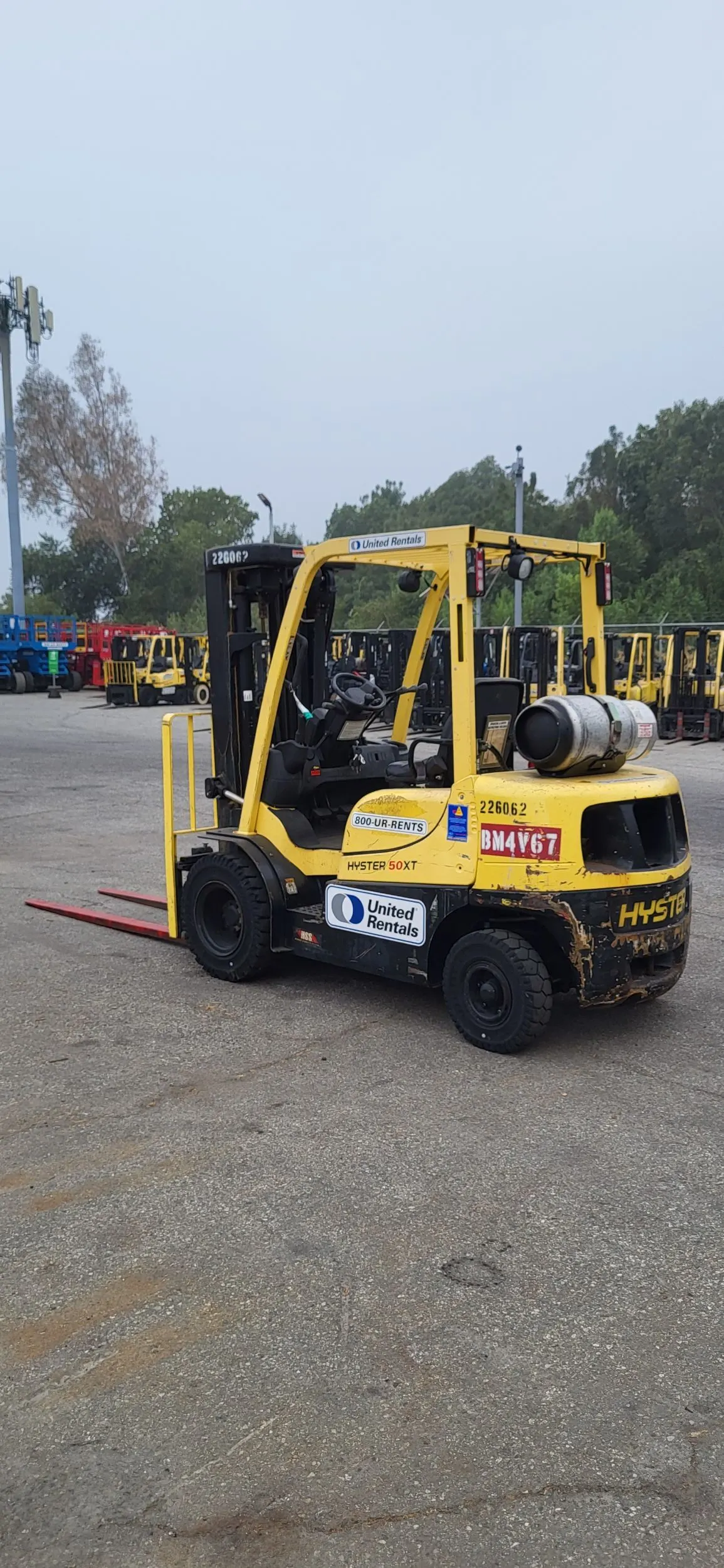 2019 Hyster H50XT