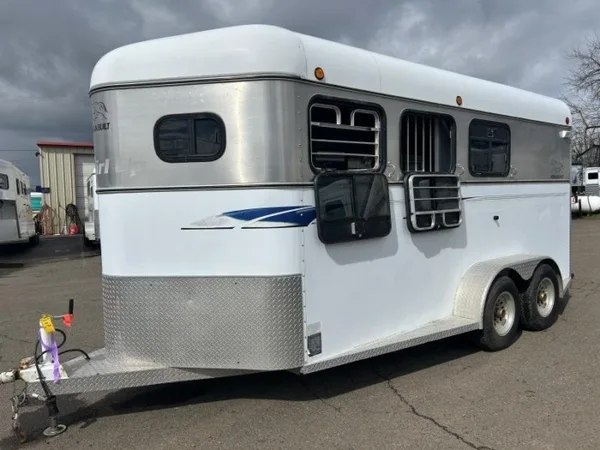 2000 Morgan Built 3 Horse Bumper Pull Horse Trailer