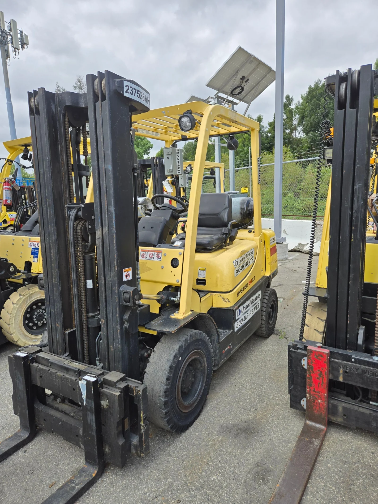 2019 Hyster H50XT