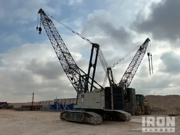 2011 Link-Belt 110-T