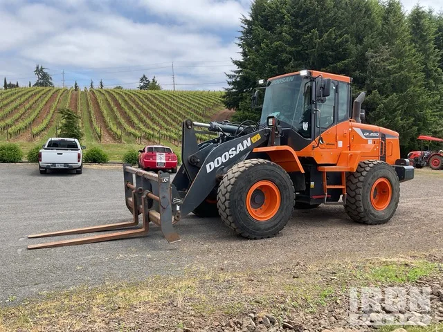 2020 Doosan DL250-5